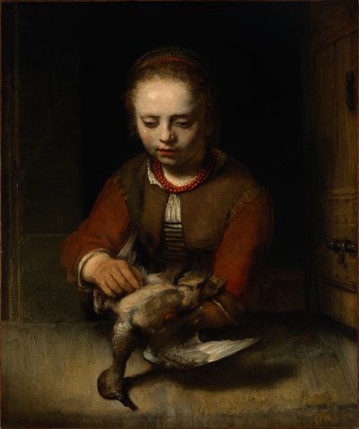 Young Girl Plucking a Duck by Barent Fabritius